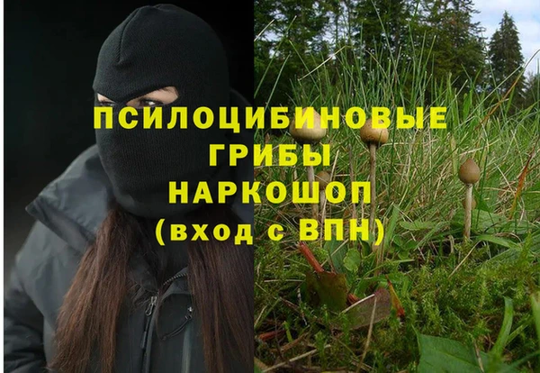 винт Магас