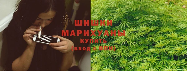 дживик Майский