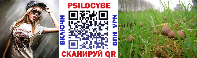 Псилоцибиновые грибы Cubensis  где купить наркотик  Урус-Мартан 