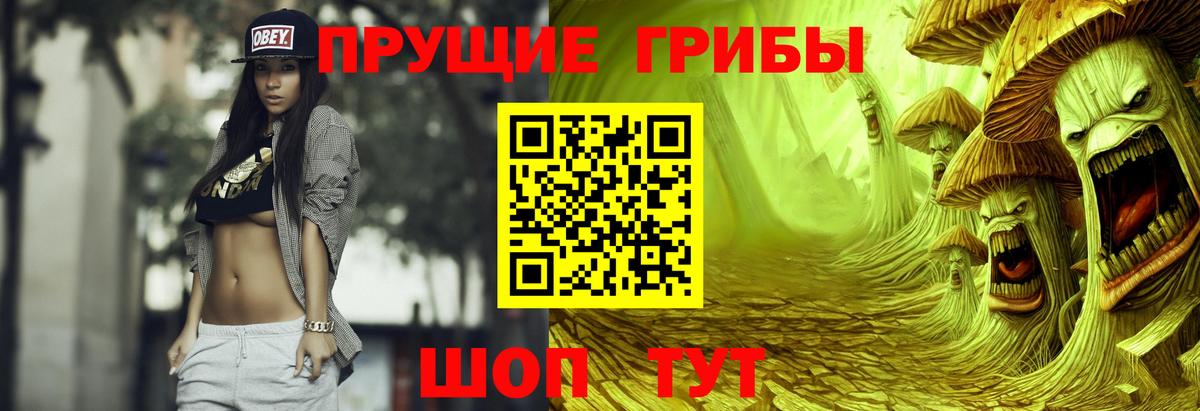 Урус-Мартан  Псилоцибиновые грибы мицелий  магазин продажи наркотиков  Вход с VPN 
