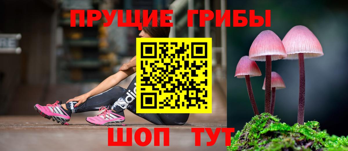 Галлюциногенные грибы мицелий Урус-Мартан