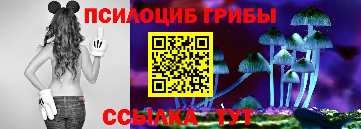 Галлюциногенные грибы MAGIC MUSHROOMS  Урус-Мартан  Галлюциногенные грибы Magic Shrooms 