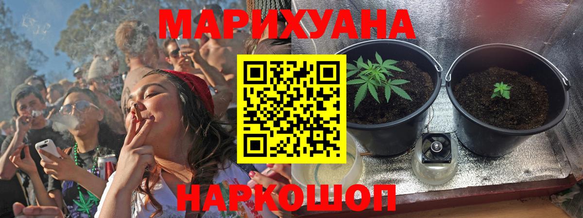 Бошки марихуана Amnesia  Урус-Мартан  Марихуана ГИДРОПОН 